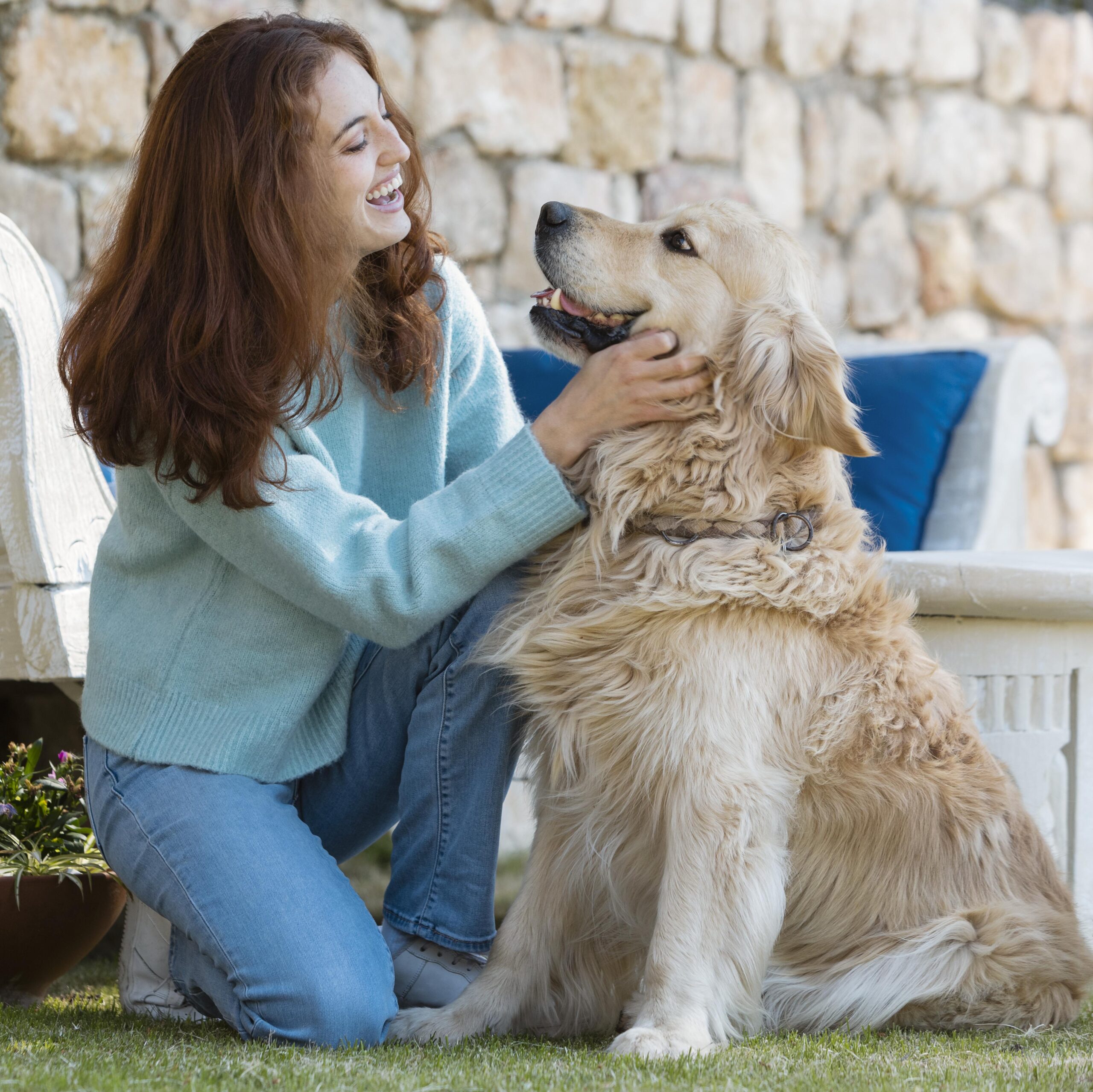 Elevating the Well-being of Your Furry Friend
